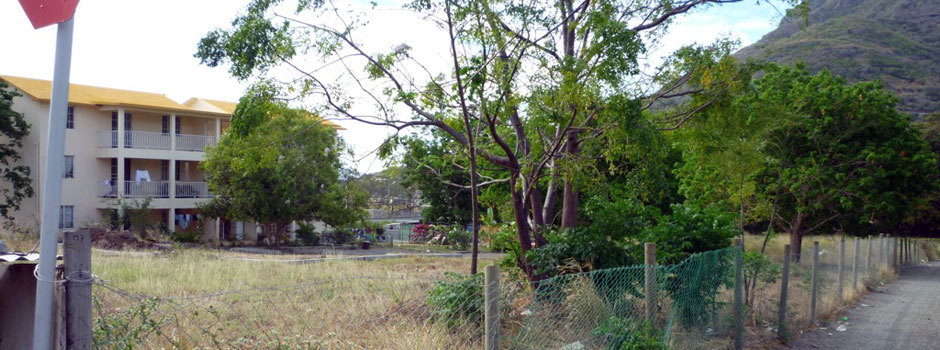 P1050577